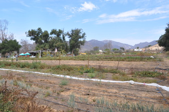 Enlarge photo 12