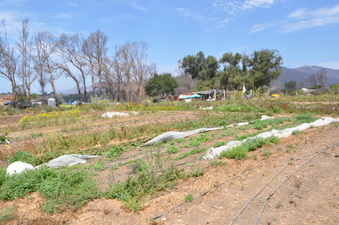 Enlarge photo 14