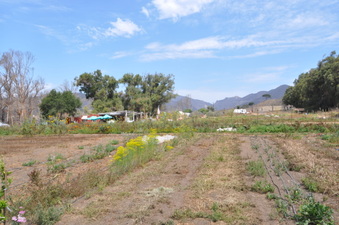 Enlarge photo 16