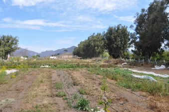 Enlarge photo 17