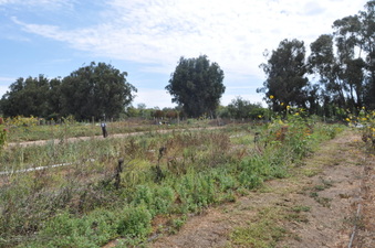 Enlarge photo 18