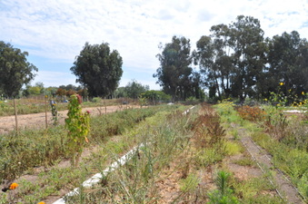 Enlarge photo 19