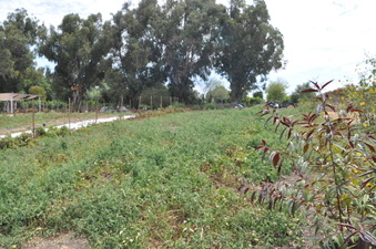 Enlarge photo 21