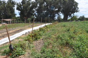 Enlarge photo 22