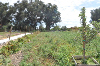 Enlarge photo 23