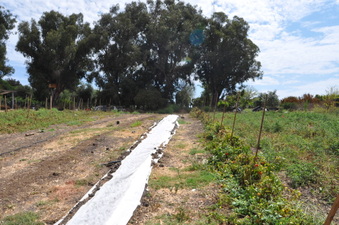 Enlarge photo 24