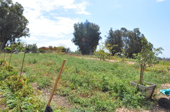 Enlarge photo 25
