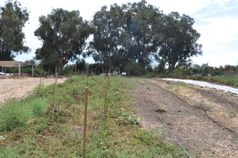 Enlarge photo 26
