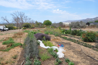 Enlarge photo 28