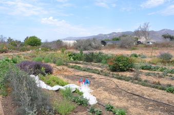 Enlarge photo 29