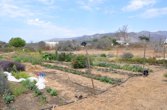 Enlarge photo 30