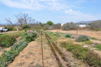 Enlarge photo 31