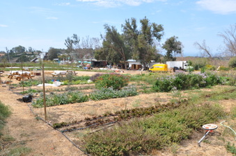 Enlarge photo 33