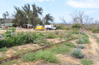 Enlarge photo 34