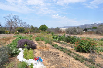 Enlarge photo 35