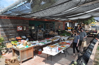 Enlarge photo 36