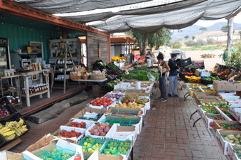 Enlarge photo 37