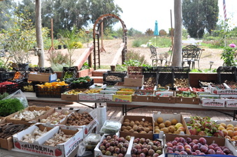Enlarge photo 38