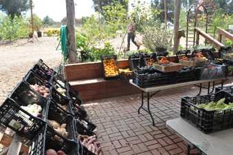 Enlarge photo 39
