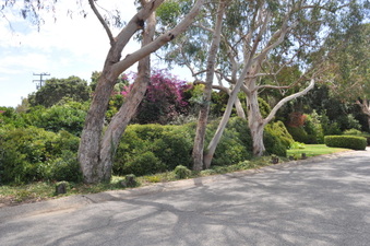 Enlarge photo 5