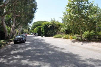 Enlarge photo 12