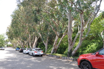 Enlarge photo 13