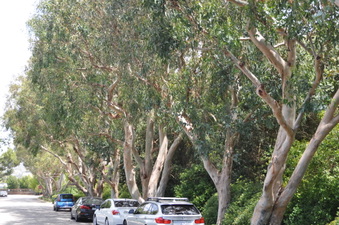 Enlarge photo 14