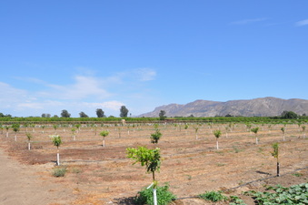 Enlarge photo 5