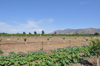 Enlarge photo 8