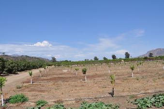 Enlarge photo 10