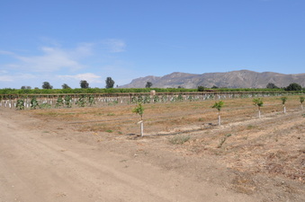 Enlarge photo 11
