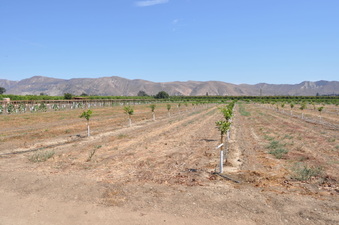 Enlarge photo 12
