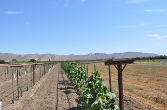 Enlarge photo 14