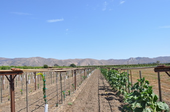 Enlarge photo 15