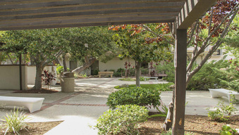 Enlarge photo 83