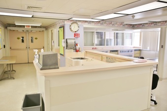 Enlarge photo 112