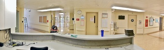 Enlarge photo 146