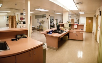 Enlarge photo 35