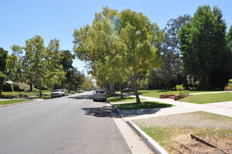Enlarge photo 3