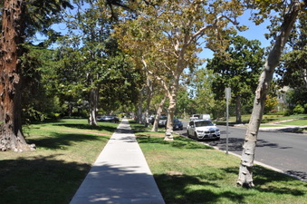 Enlarge photo 17