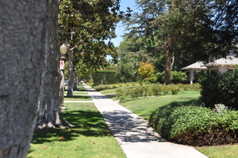 Enlarge photo 21