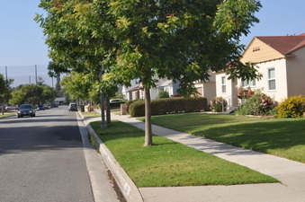Enlarge photo 18