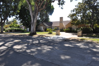 Enlarge photo 27