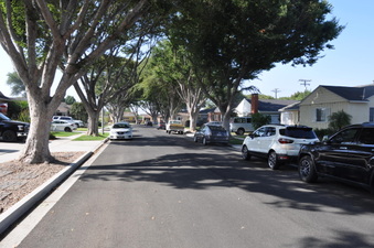 Enlarge photo 14