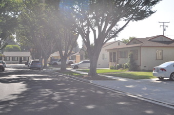 Enlarge photo 27