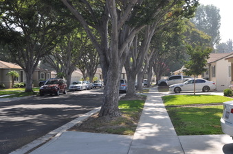 Enlarge photo 31