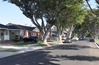 Enlarge photo 33