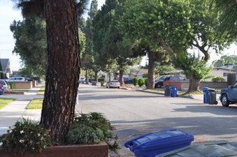 Enlarge photo 21