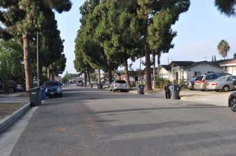 Enlarge photo 10