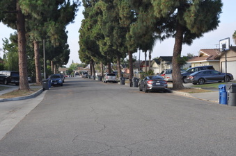 Enlarge photo 15